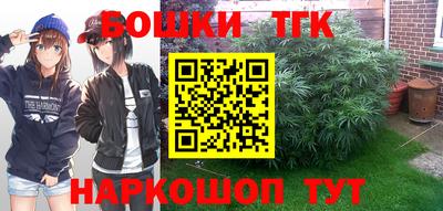 скорость Дубна