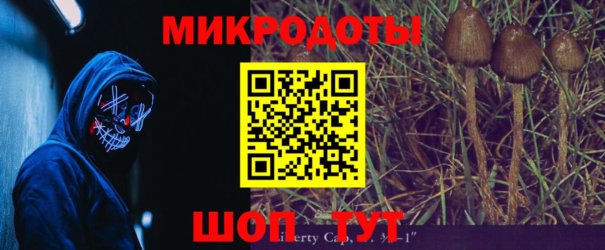 Георгиевск  дарнет шоп  Вход с VPN  Галлюциногенные грибы Cubensis 