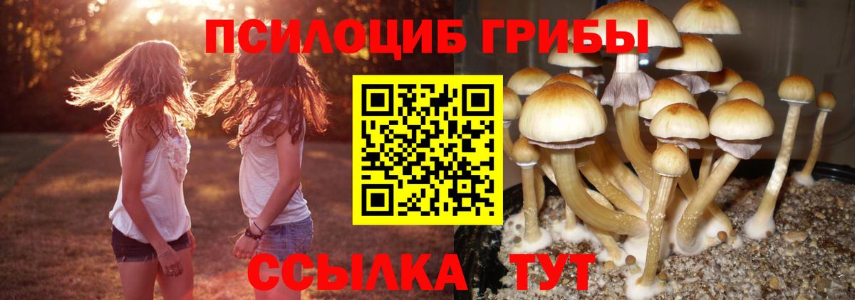 Псилоцибиновые грибы MAGIC MUSHROOMS Георгиевск