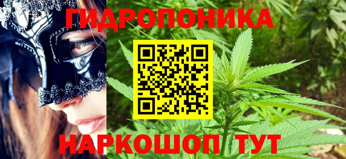 Марихуана ГИДРОПОН  Вход с VPN  Марихуана семена  Георгиевск  Бошки Шишки LSD WEED 